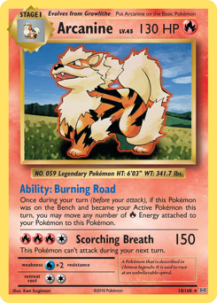 Arcanine from Evolutions